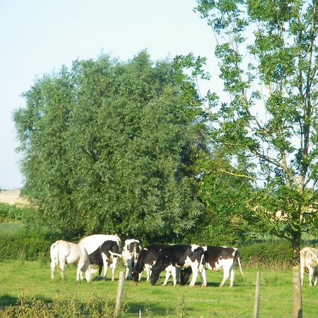 La Vallee Des Trois Monts Saint-Sylvestre-Cappel Exteriör bild